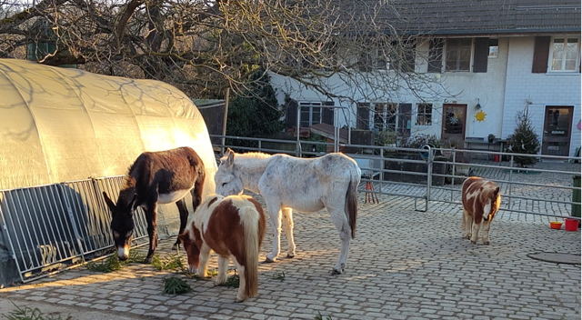 Kursbild